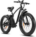 Vélo électrique d'extérieur avec batterie au lithium 48V/15Ah - Enhanced