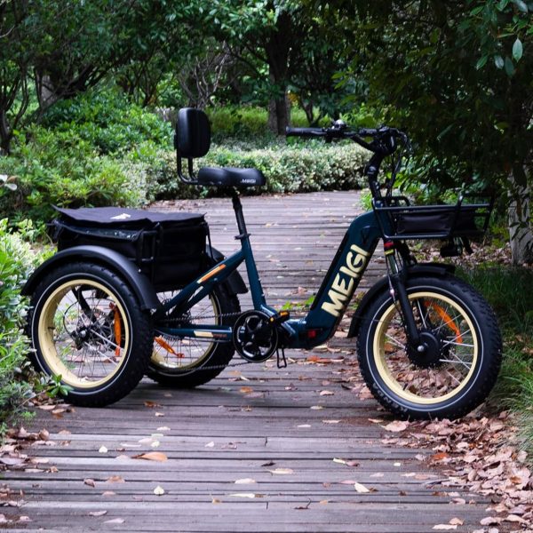 SILVERADO 20 48V/14AH 750W Tricycle électrique pliable à gros pneus, 150 kg (96817362) - Enhanced