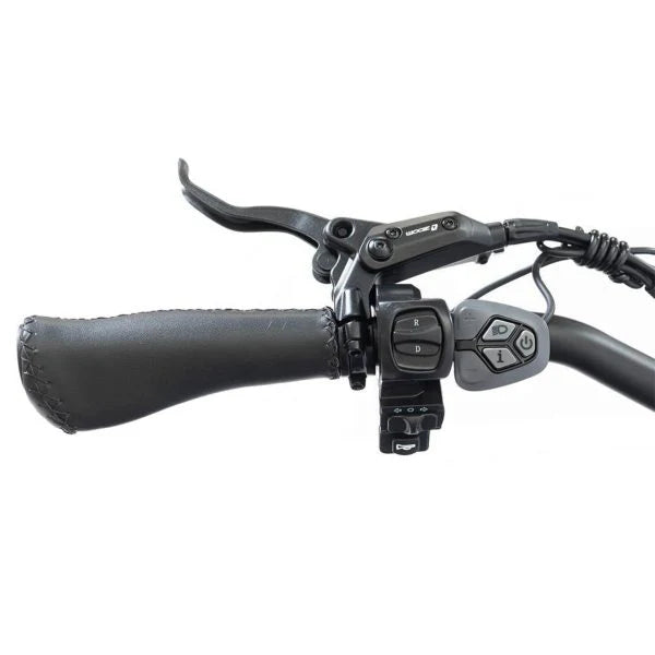 Tricycle électrique pliable à gros pneus 20 pouces 48 V/14 Ah 750 W, 150 kg - Enhanced