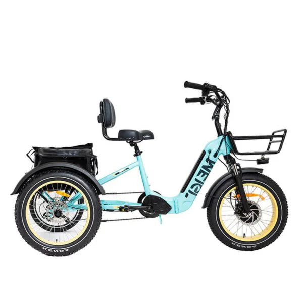 Tricycle électrique pliable à gros pneus 20 pouces 48 V/14 Ah 750 W, 150 kg - Enhanced