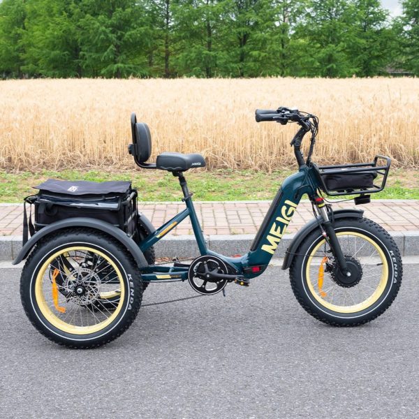 SILVERADO 20 48V/14AH 750W Tricycle électrique pliable à gros pneus, 150 kg (96817362) - Enhanced
