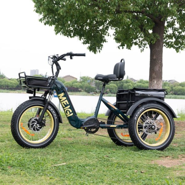 SILVERADO 20 48V/14AH 750W Tricycle électrique pliable à gros pneus, 150 kg (96817362) - Enhanced