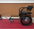 Tricycle pliable pour animaux de compagnie, adapté aux chiens de grande et petite taille, capacité de 40 à 50 kg - Enhanced