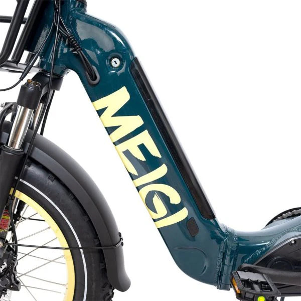 Tricycle électrique pliable à gros pneus 20 pouces 48 V/14 Ah 750 W, 150 kg - Enhanced